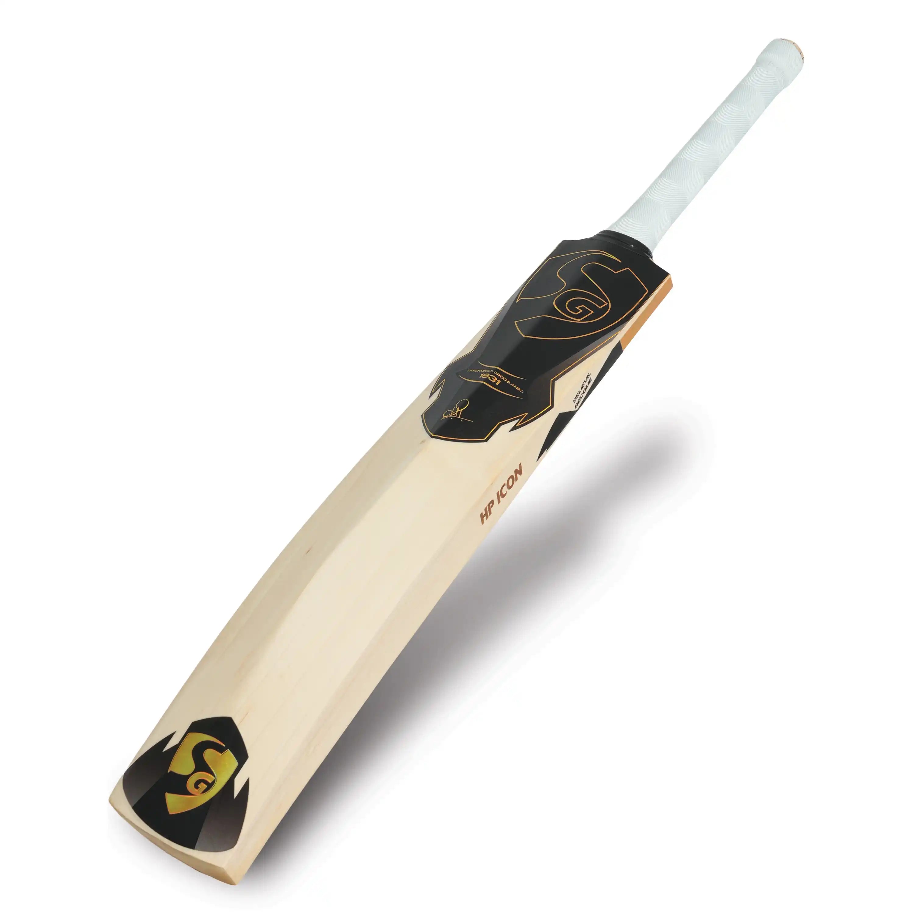 SG HP Icon