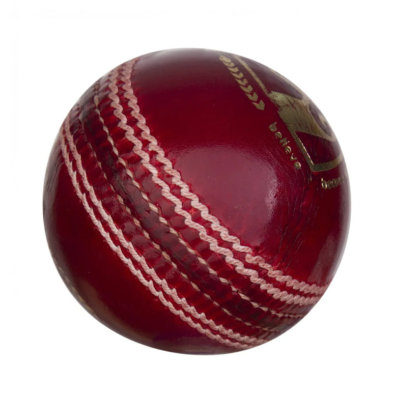 SG Campus Cricket Ball-2