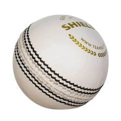 SG  Sheild 30-4