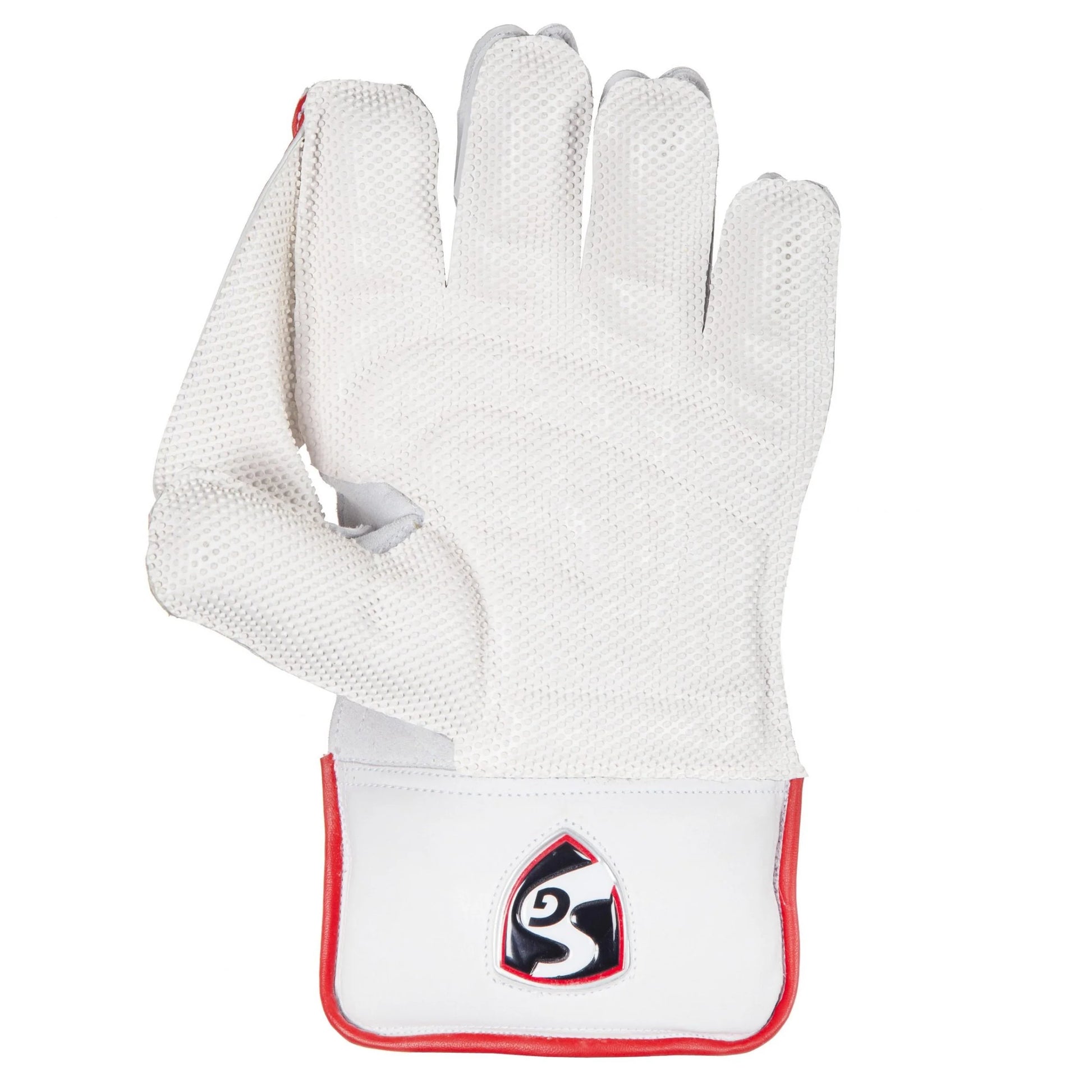 SG Test Wicket Keeping Gloves-2