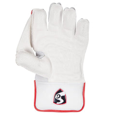SG Test Wicket Keeping Gloves-2