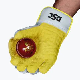 DSC Condor Flite Wicket Keeping Gloves-3