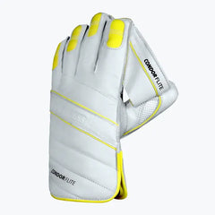 DSC Condor Flite Wicket Keeping Gloves-1