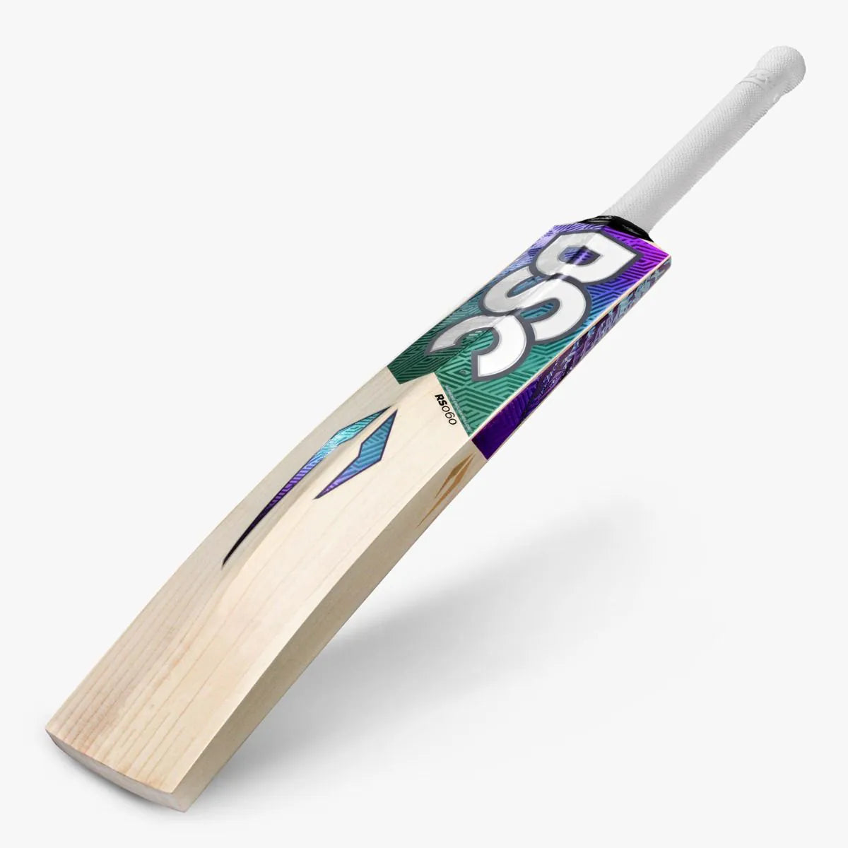 DSC RS 060
