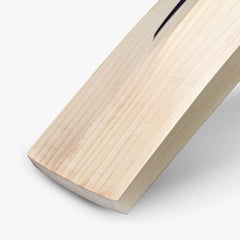 DSC RS 060-5