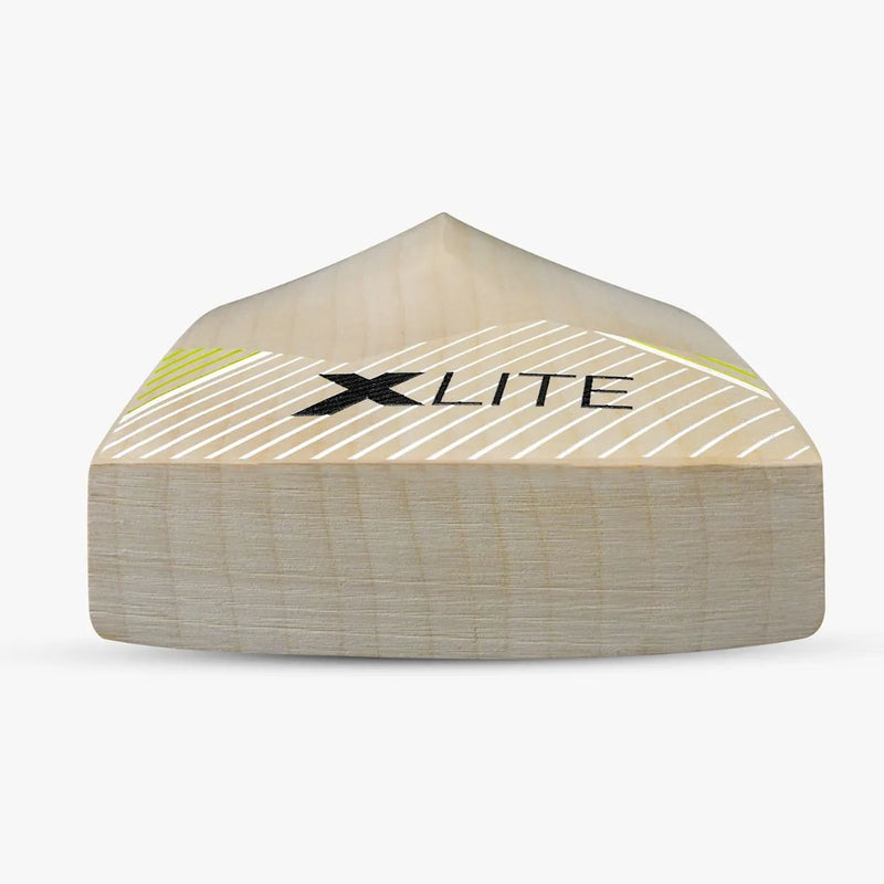 DSC Xlite 4.0-4